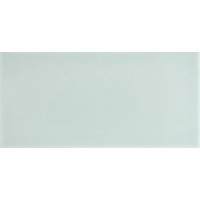 Плитка ADST1053 LISO FERN 9,8x19,8
