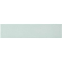 Плитка ADST1055 LISO FERN 4,9x19,8