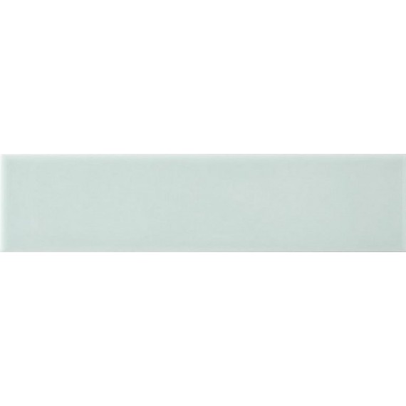 Керамическая плитка ADST1055 LISO FERN 4,9x19,8