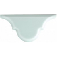 ADST8029 ARABESCO BISELADO REMATE FERN 7,5x15