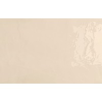 Aline VISION 27x42