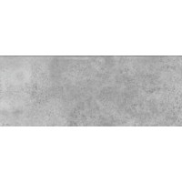 Amsterdam grey 20х50