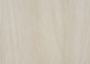 Плитка Arstone Floor BASE BEIGE GLOSSY 600x600