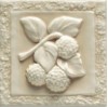 Плитка BB02 BLACKBERRY PRIMULA 13x13