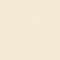 Плитка C&C a1 10