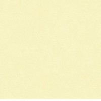 Плитка C&C a2 20