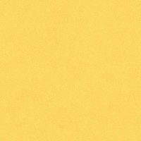 Плитка C&C b2 20