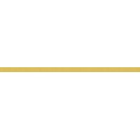 Плитка COPR4 COPRISPIGOLO ORO 1,2X26