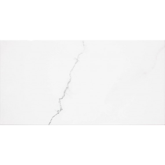 Керамическая плитка CORINTO XY4500 Blanco 31x60