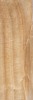 Плитка Cadoro Gold Glossy 30x90