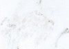 Плитка Calacatta Floor BASE WHITE GLOSSY 600x600