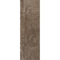 Плитка Camanzoni Brown Glossy 30x90