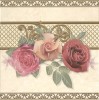 Плитка Cenefa Yellowrose Crema Marfil 41*41