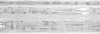 Плитка DEC. FIZZY GREY 25x75