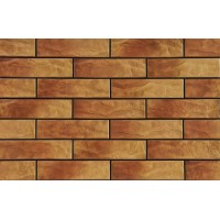 Плитка Dakota USA elewacja rustykalna 245x65x6.5