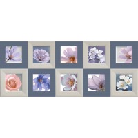 Плитка Dec.Charme AQUA B-24 20x50