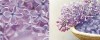 Плитка Decor DREAMS A 20x50