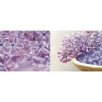Плитка Decor DREAMS A 20x50