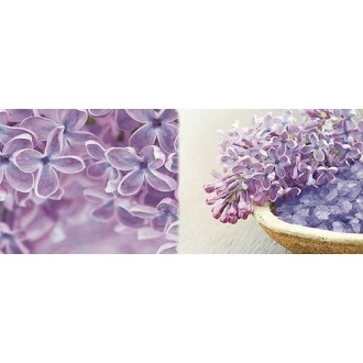 Плитка Decor DREAMS A 20x50