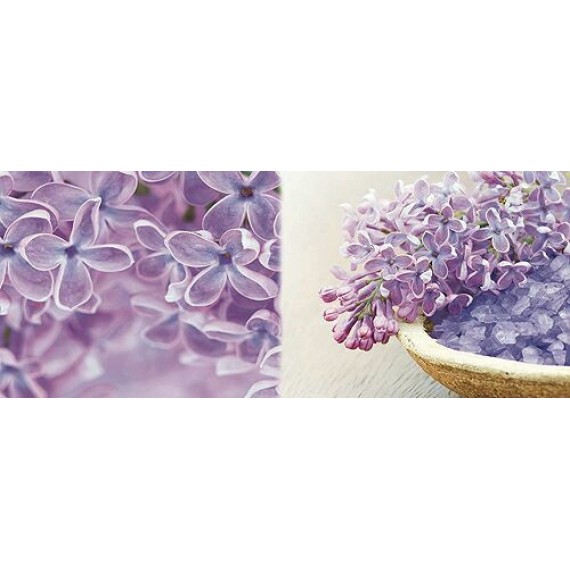 Керамическая плитка Decor DREAMS A 20x50