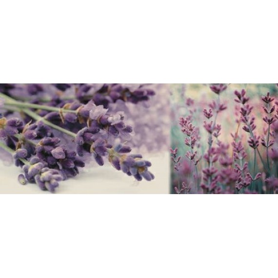 Керамическая плитка Decor DREAMS B 20x50