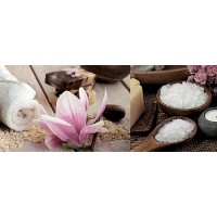 Плитка Decor NATURAL B 20x50