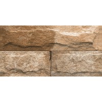 Dolomite Gold 30х60