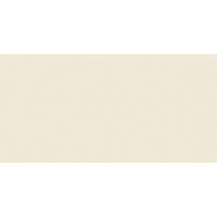 E966 Bold White Rett 40х80