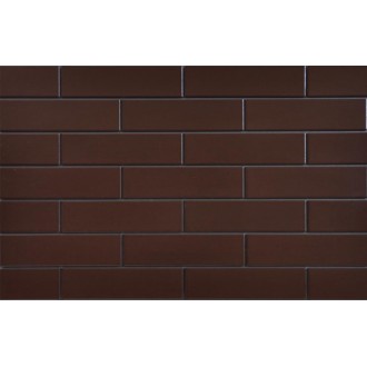 Плитка Elewacja szkliwiona Braz 245x65x6.5