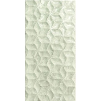 Плитка FAN Gris 25x50