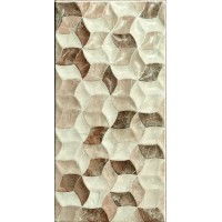 Плитка FAN Marron 25x50