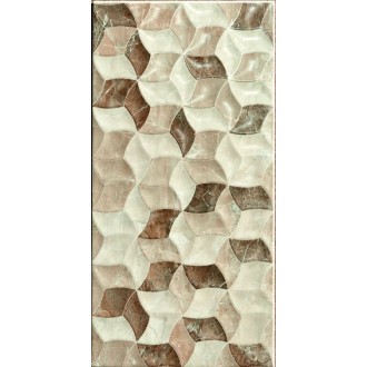 Плитка FAN Marron 25x50