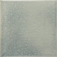 IX06 REEF 13X13