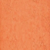 Maiolica Arancio 20x20