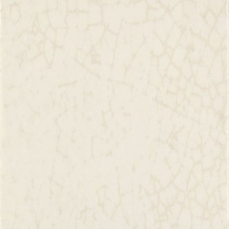 Maiolica Latte 20x20