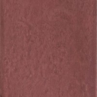 Maiolica Prugna 20x20