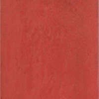 Maiolica Rosso 20x20