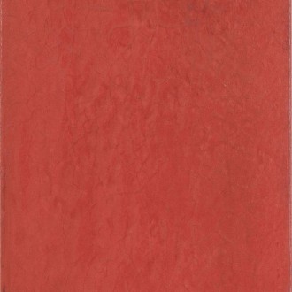 Maiolica Rosso 20x20