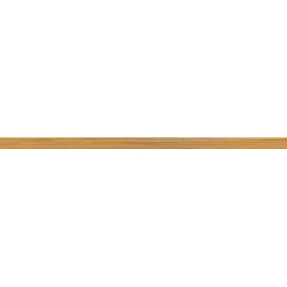 Керамическая плитка Mono gold Бордюр 50x2