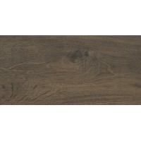 Плитка Nelly Marrone 1443 60х30х0,8