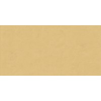 PF60008231 Ginger Ret 60x120