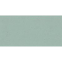 PF60008232 Mint Ret 60x120