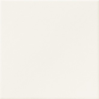 PT02208 Blanco Mate 15x15