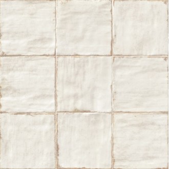 PT02483 Livorno Pav. Blanco 20х20
