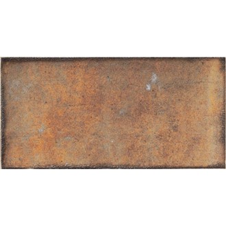 PT02548 Esenzia Terra 15x30