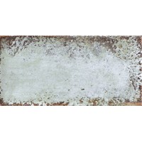 Плитка PT02703 Atelier Paradise 30x15