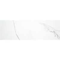 Alaplana PUNE BLANCO BRILLO 33,3x100