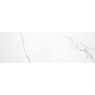 Alaplana PUNE BLANCO BRILLO 33,3x100