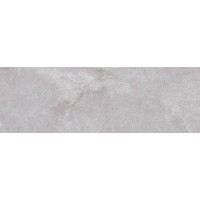 Плитка R0000289 Iconic Grey 30x90