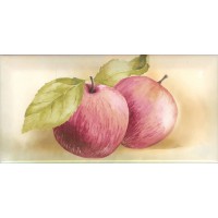 Плитка Retro Manzanas Cocina 10x20